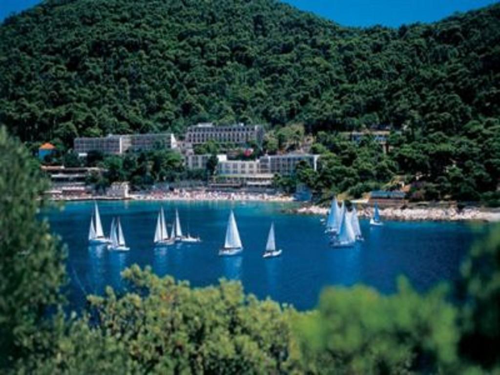Apartments Petra Dubrovnik Ngoại thất bức ảnh